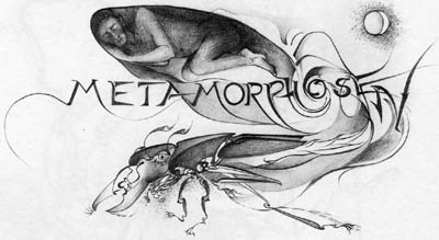 Metamorphosen